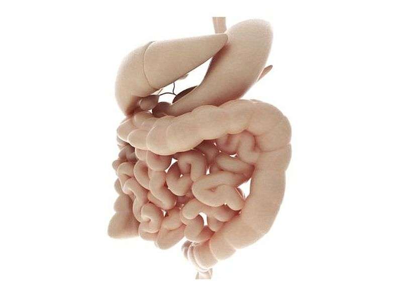 To help prevent colon cancer, 'Listen to your gut'