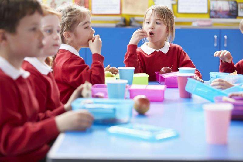 Too few school lunch boxes meet nutritional standards