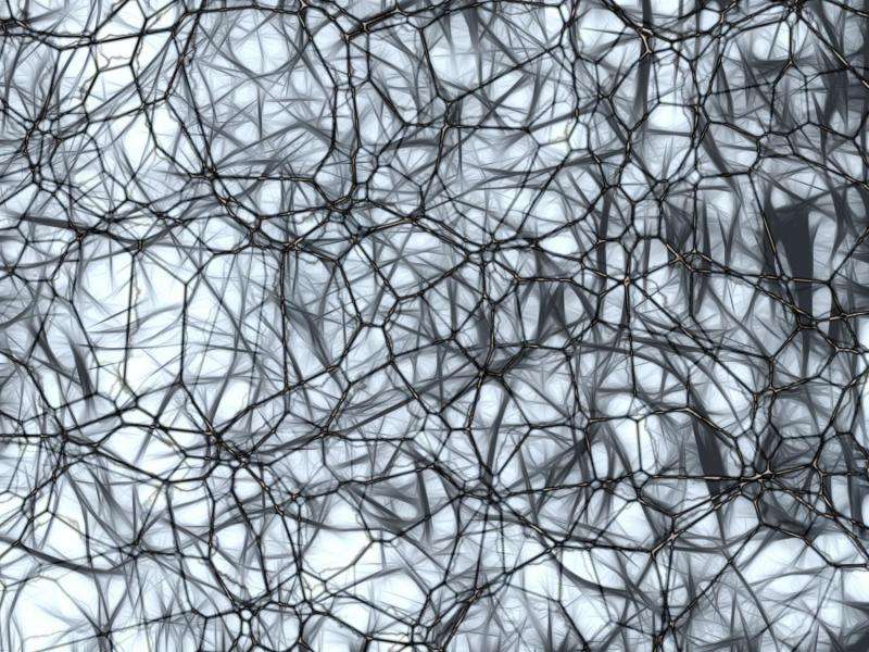 Tool to measure brain blood flow identifies tell-tale signs of dementia and Alzheimer's early