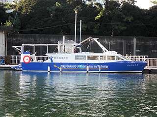 Toshiba Pure Hydrogen Cell System Takes to the Sea