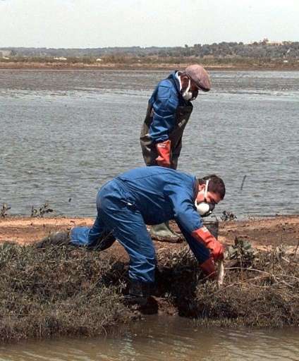 Toxic waste released from a burst dam at the Aznalcollar mine in 1998 caused one of Spain's worst ecological disasters