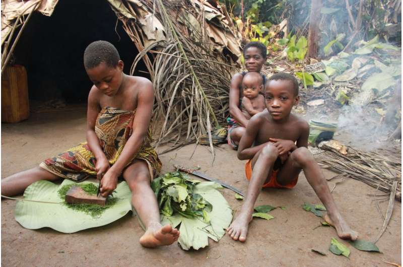 Tracing the path of pygmies' shared knowledge of medicinal plants