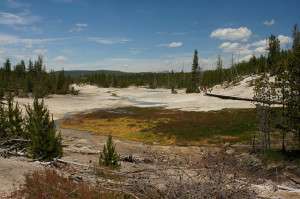 Tracking microbial mat formation in Yellowstone