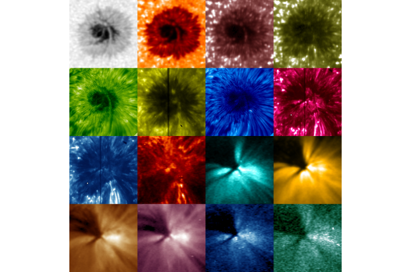 Tracking waves from sunspots gives new solar insight