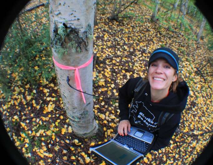 Trees' surprising role in the boreal water cycle quantified