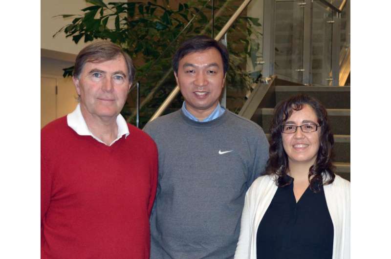 TSRI researchers uncover potential target for treating autoimmune disease