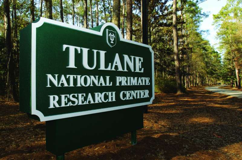 Tulane researchers find other layers of immunity in TB/HIV co-infections