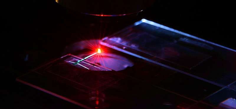 Turning blood into a laser emitter for drug testing, cancer treatment
