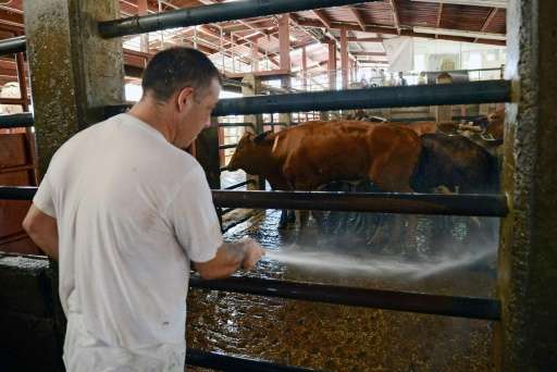 Two slaughterhouses in Costa Rico have united to find a solution to the environmental problem of treating their waste by transfo