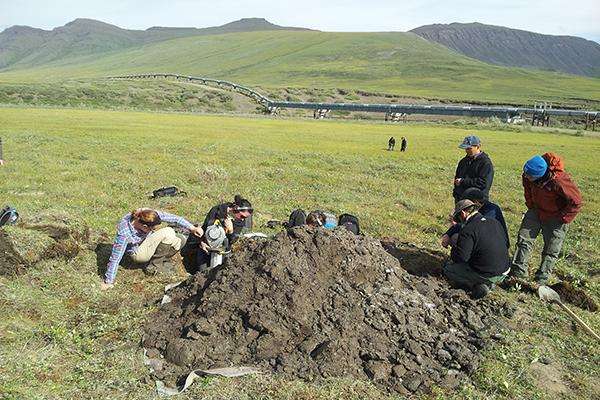 UD prof studies how permafrost thawing affects vegetation, carbon cycle