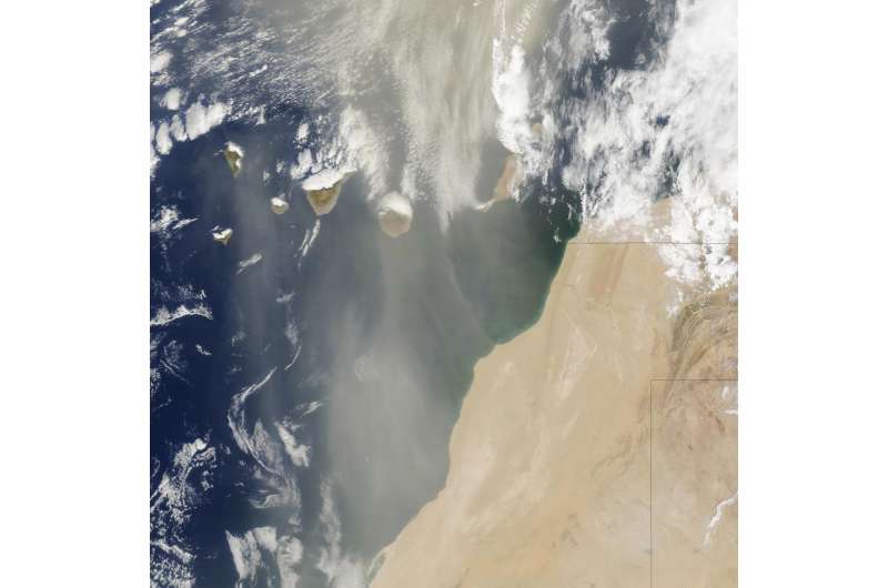 UGA study finds Saharan dust affects marine bacteria, potential pathogen Vibrio