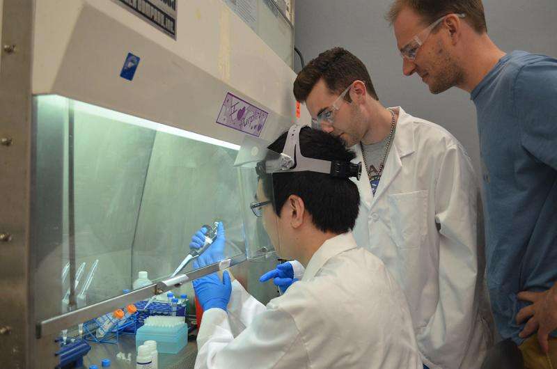 Ultrashort cell-free DNA reveals health of organ transplants