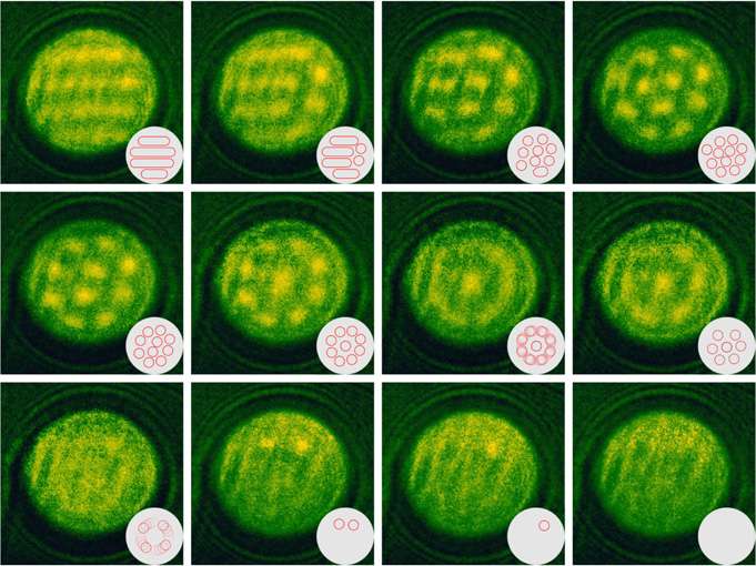Underfocused Lorentz TEM images of a 330-nm FeGe nanodisk at 220 K under an external magnetic field