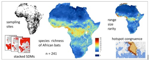 Unique high-resolution map on bat diversity in Africa