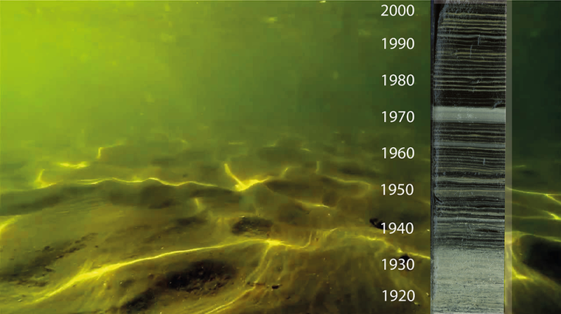 Urbanization: The historical cause of low oxygen conditions in European lakes