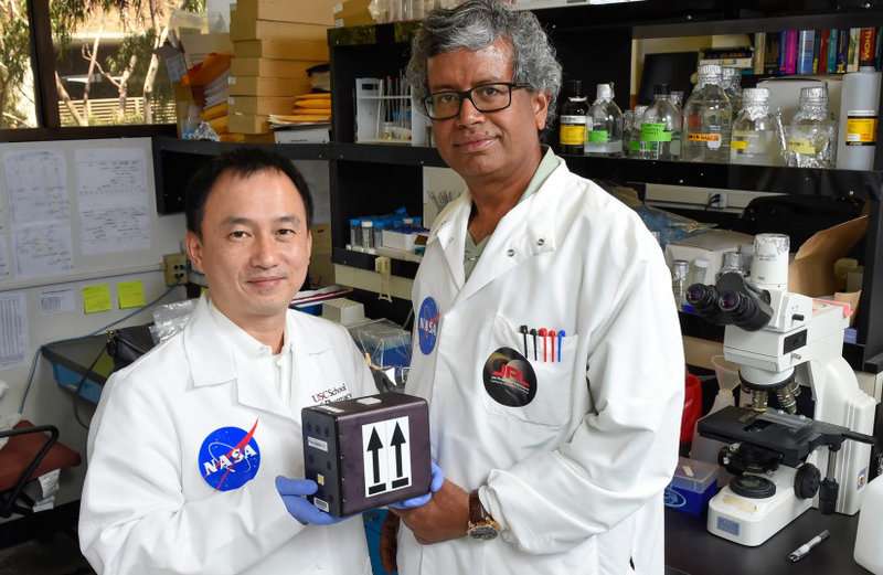 USC scientists to send fungi into orbit in quest to develop space meds