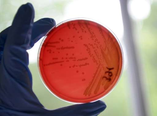 Using human cells in Petri dishes in the lab, scientists tested about 10,000 different types of chemical compounds including pes