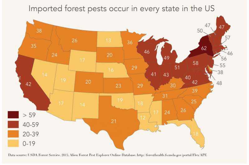 US must step-up forest pest prevention, new study says