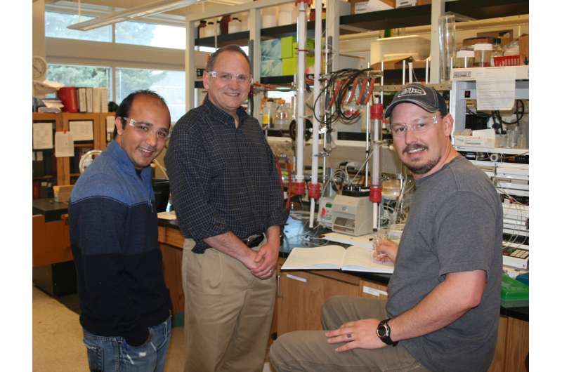USU Biochemists Contribute to Light-Driven Dinitrogen Reduction Process