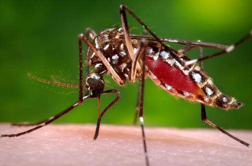 USVI steps up fight against mosquitoes amid Zika outbreak