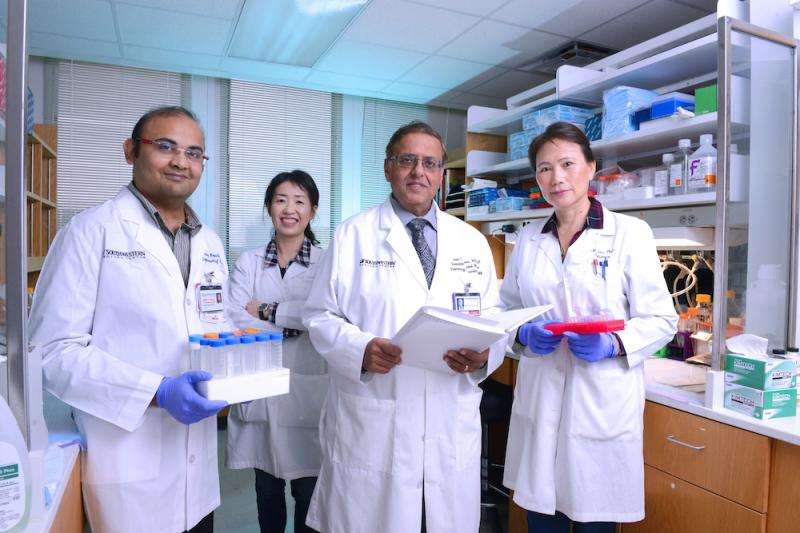 UT Southwestern researchers identify process that causes chronic neonatal lung disease