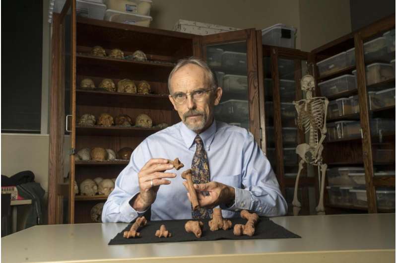 UT study cracks coldest case: How the most famous human ancestor died