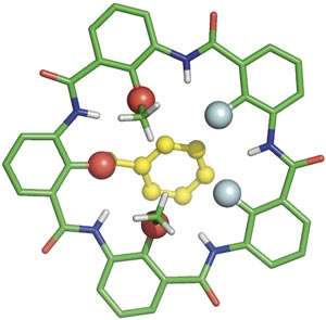 Variations in size, shape and electronic properties of ring-shaped molecules lead to changes in ion-selectivity