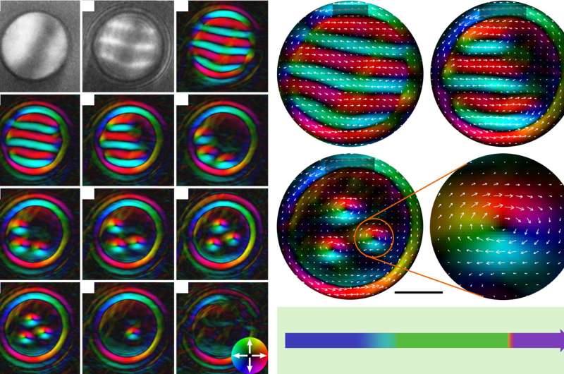 Variations of spin texture with magnetic field in a 270-nm FeGe nanodisk at T = 100 K