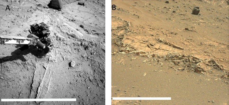 Veins on Mars were formed by evaporating ancient lakes