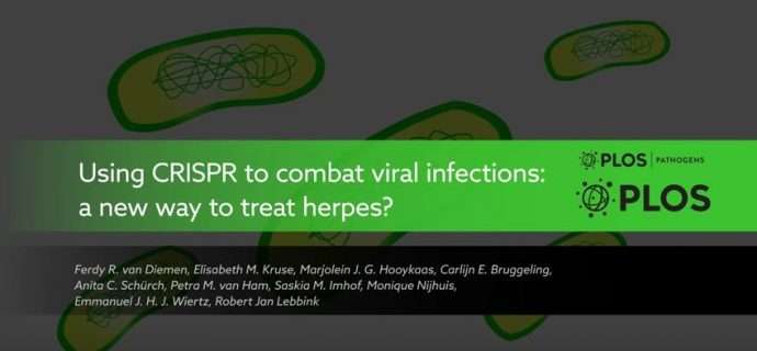 Video: CRISPR puts up a fight against persistent herpesviruses