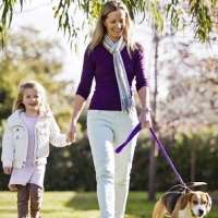 Walking the dog keeps owners healthy and neighbourhoods feeling safe