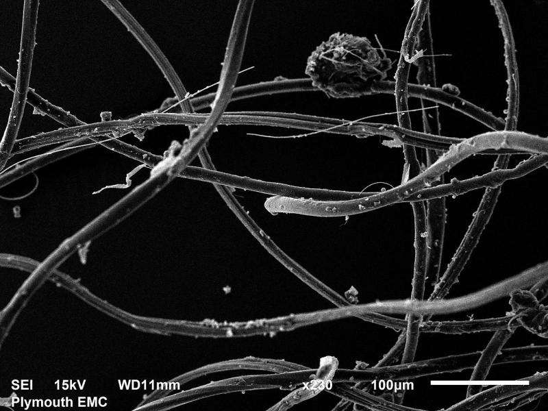 Washing clothes releases thousands of microplastic particles into environment, study shows
