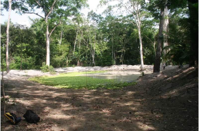 Water storage made prehistoric settlement expansion possible in Amazonia