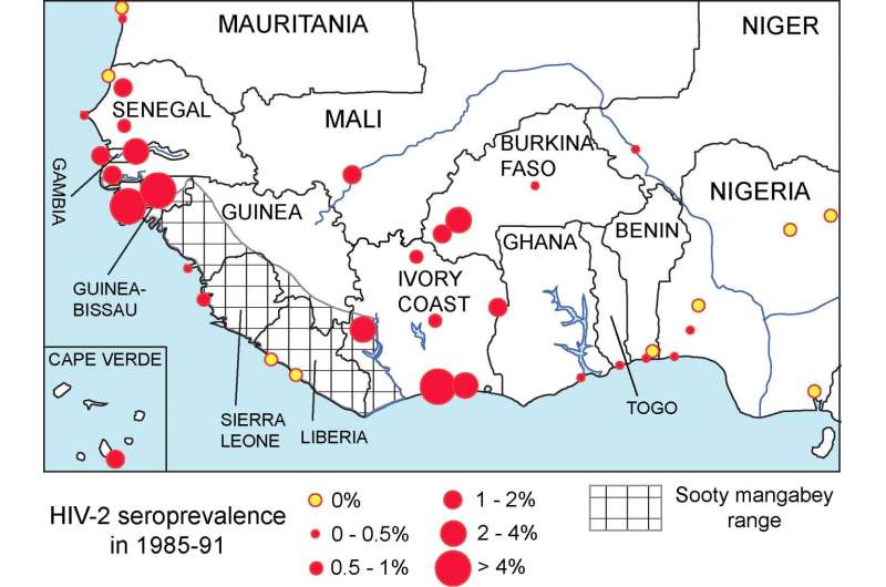 West African HIV-2 prevalence associated with lower historical male circumcision rates