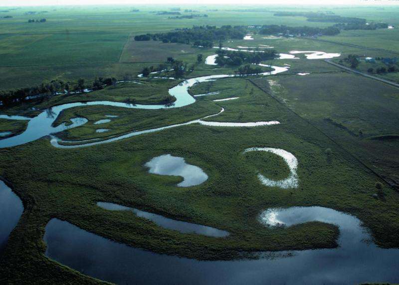 Wetland enhancement in Midwest could help reduce catastrophic floods of the future