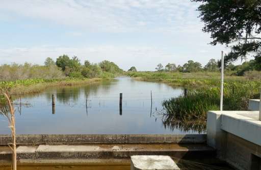 Wetlands restored around Babcock Ranch in Punta Gorda, Florid