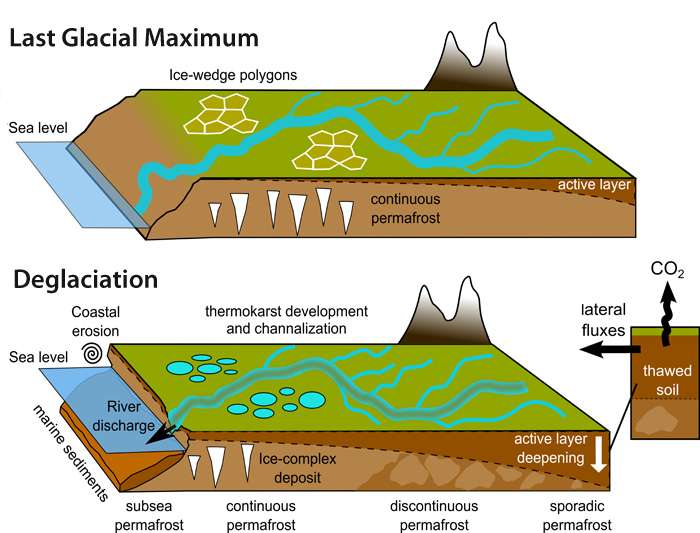When permafrost melts, what happens to all that stored carbon?