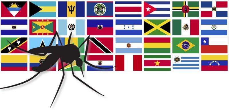 Where next for the Zika virus?