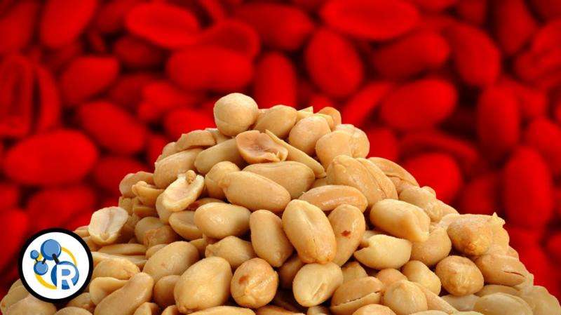 Why are people allergic to peanuts? (video)