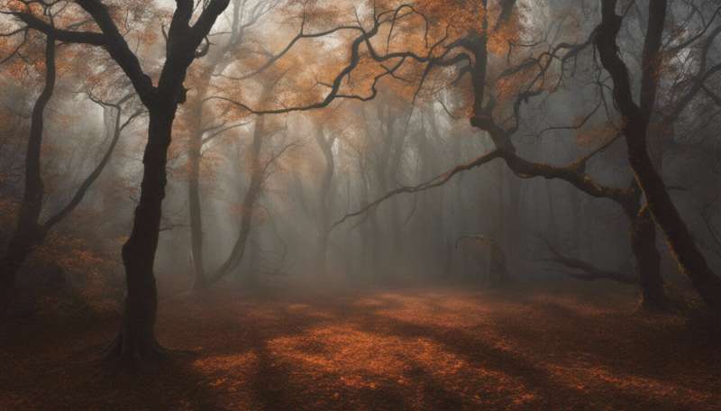 Why a walk in the woods really does help your body and your soul