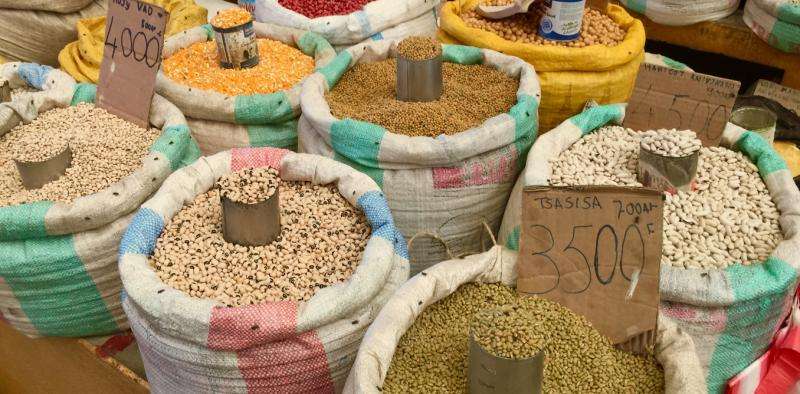 Why beans, peas and lentils are the eco-friendly option for feeding the world