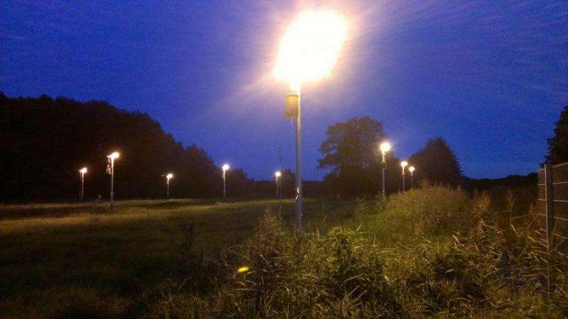 Why moths are attracted to light − increased barrier effects through street lighting