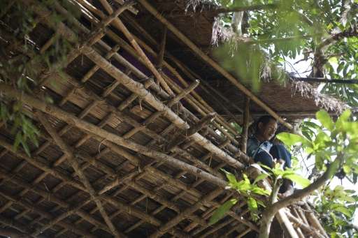 Wild elephants are driving fearful villagers in a Myanmar township to seek refuge in tree houses