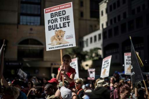 Wildlife campaigners generally welcomed decisions taken at the CITES conference, adding that concrete action was now needed to t
