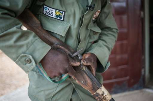 Wildlife in Yankari Game Reserve is under pressure from subsistence hunters and ivory poachers armed with &quot;Dane guns.&quot;