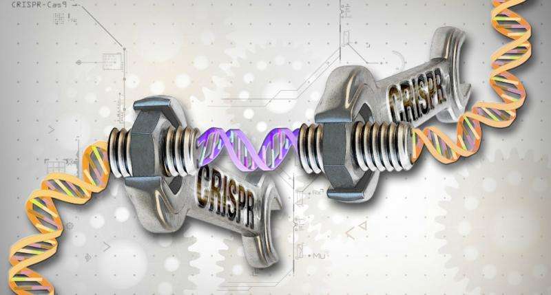Will gene editing create designer babies?