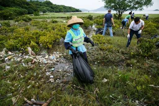 Workers and residents clean up refuse washed ashore at the top of a beach in Hong Kong on July 10, 2016