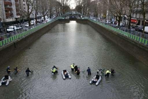 Workers remove fish from the canal Saint Martin in Paris on January 7, 2016 before a drainage and cleaning operation