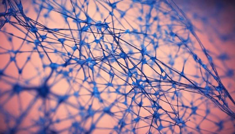 Workouts appear to restore connections between neurons, researchers find