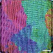 X-rays reveal the photonic crystals in butterfly wings that create color